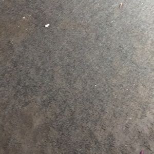 Meet your Posher, Robin